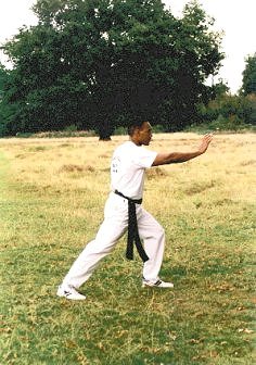 Fig1